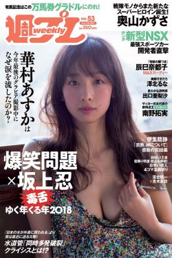 最佳女婿最新