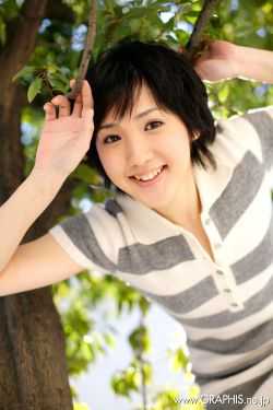 乡村野花香